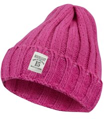 Теплая шапка унисекс Universal Beanie One-color цена и информация | Женские шапки | kaup24.ee