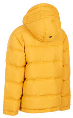 Куртка для мальчика Trespass, желтая цена и информация | Куртки для мальчиков | kaup24.ee