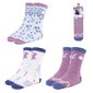 Sokid Frozen, 3 paari hind ja info | Tüdrukute sukkpüksid ja sokid | kaup24.ee