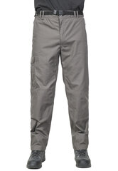 Брюки мужские Trespass, серого цвета цена и информация | Мужские брюки | kaup24.ee