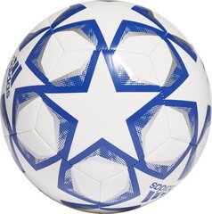 Футбольный мяч Adidas Euro 24 Fussballliebe White Colored IN9369 IN9369/4 цена и информация | Футбольные мячи | kaup24.ee