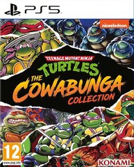 Teenage Mutant Ninja Turtles: The Cowabunga Collection цена и информация | Компьютерные игры | kaup24.ee