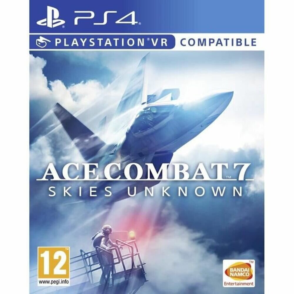 PlayStation 4 Bandai Ace Combat 7: Unkown Skies Game цена и информация | Arvutimängud, konsoolimängud | kaup24.ee