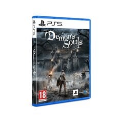 Demon's Souls, PS5 цена и информация | Компьютерные игры | kaup24.ee