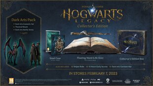 Hogwarts Legacy Collectors Edition цена и информация | Компьютерные игры | kaup24.ee