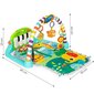 Interaktiivne õppevahtmatt beebidele + Piano Eco mänguasjad JJ8843 цена и информация | Tegelustekid | kaup24.ee