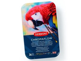 Värvipliiats Derwent Chromaflow 36 tk hind ja info | Kunstitarbed, voolimise tarvikud | kaup24.ee