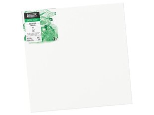 Lõuend raamil Liquitex Recycled Canvas 100% taaskasutatud plast 60x60cm hind ja info | Kunstitarbed, voolimise tarvikud | kaup24.ee