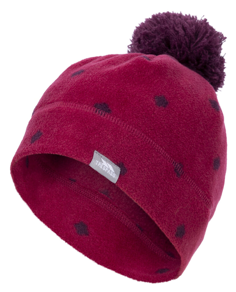 Müts tüdrukutele Trespass, roosa цена и информация | Tüdrukute mütsid, sallid, kindad | kaup24.ee