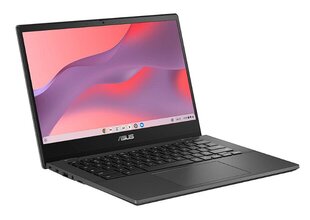 Asus Chromebook CM1402 CM1402CM2A-EK0167 цена и информация | Ноутбуки | kaup24.ee