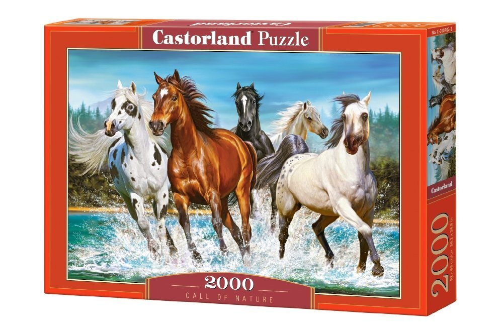 Castorland pusle Call of Nature, 2000 tükki цена и информация | Pusled | kaup24.ee