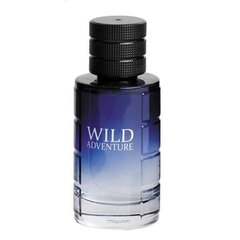 Tualettvesi Conciver Wild Adventure EDT meestele, 100 ml hind ja info | Meeste parfüümid | kaup24.ee