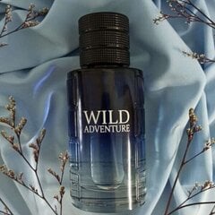 Tualettvesi Conciver Wild Adventure EDT meestele, 100 ml цена и информация | Мужские духи | kaup24.ee