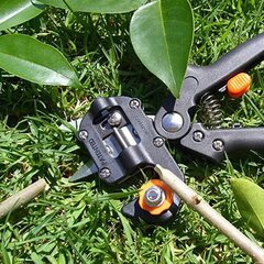 Viljapuude pookimise ja lõikamise tööriist Reppex hind ja info | Aiatööriistad | kaup24.ee