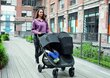 Kahene jalutuskäru Baby Jogger City Mini GT 2, jet цена и информация | Vankrid, jalutuskärud | kaup24.ee