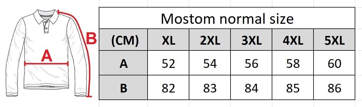 T-särk meestele Mostom 069-17, hall hind ja info | Meeste T-särgid | kaup24.ee