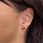 Evolution Group Valgest kullast kõrvarõngad ehtsate pärlitega Pavona 821004.3 paabulind цена и информация | Kõrvarõngad | kaup24.ee