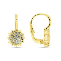 Brilio Silver Charming gold-plated earrings with zircons EA253Y цена и информация | Серьги | kaup24.ee