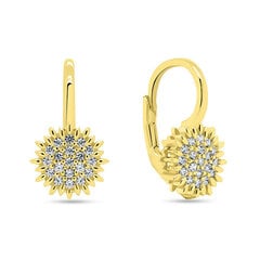 Brilio Silver Charming gold-plated earrings with zircons EA253Y цена и информация | Серьги | kaup24.ee