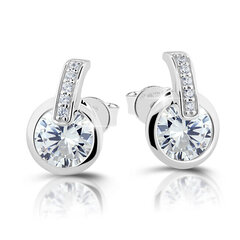 Modesi Charming kõrvarõngad silver earrings with zircons M21061 цена и информация | Серьги | kaup24.ee