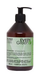 Pehmendav šampoon kuivadele ja kahjustatud juustele Every Green Anti-Frizz 500 ml hind ja info | Every Green Kosmeetika, parfüümid | kaup24.ee