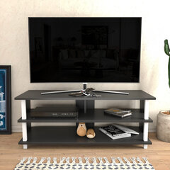 TV alus Asir, 120x44,6x47,4 cm, valge/hall цена и информация | Тумбы под телевизор | kaup24.ee