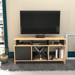 TV alus Asir, 120x29,9x60,6 cm, beež/hall цена и информация | Тумбы под телевизор | kaup24.ee