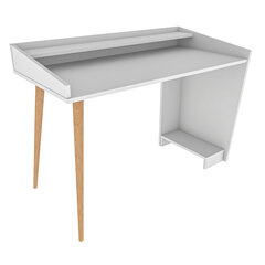 Laud Asir, 121,8x59x88,3 cm, valge hind ja info | Arvutilauad, kirjutuslauad | kaup24.ee