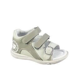 Peddy sandaalid poistele, hall цена и информация | Детские сандалии | kaup24.ee