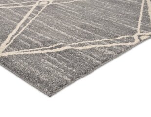 Vercai Rugs vaip Firenze 200x290 cm hind ja info | Vaibad | kaup24.ee