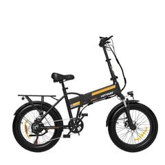 Электровелосипед Hitway BK10, 20", черный, 250Вт, 12Ач цена и информация | Электровелосипеды | kaup24.ee