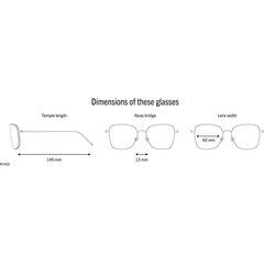 Мужские солнцезащитные очки Rodenstock R1425 S7266296. цена и информация | Солнцезащитные очки для мужчин | kaup24.ee