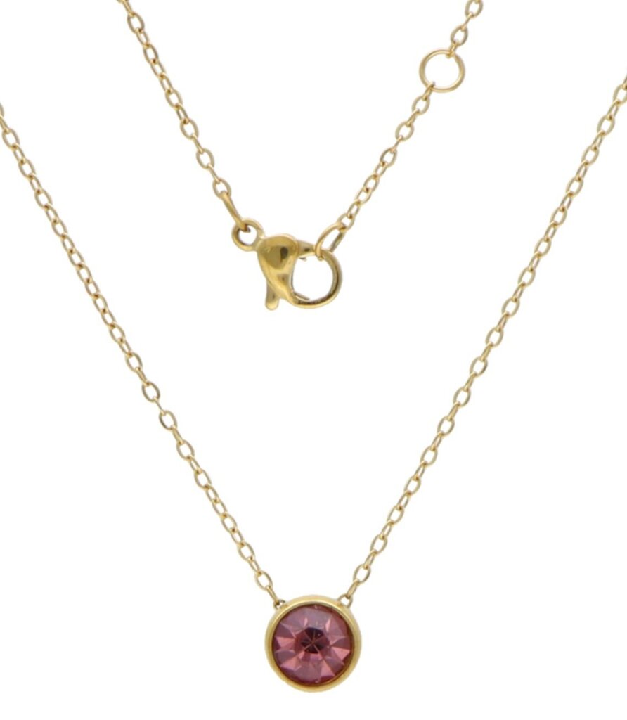 Rose Steel Birthstone Oktoobri kaelakee 14714-uniw hind ja info | Kaelakeed | kaup24.ee