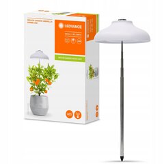 Флуоресцентная напольная лампа мощностью 5 Вт для выращивания растений цена и информация | Проращиватели, лампы для растений | kaup24.ee