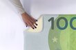Vannitoa vaip Euro Pangatähe Raha, 90x60 cm цена и информация | Vannitoa sisustuselemendid ja aksessuaarid | kaup24.ee