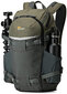 Lowepro Flipside Trek BP 250 AW, hall ND204468LV hind ja info | Kotid, vutlarid fotoaparaatidele | kaup24.ee