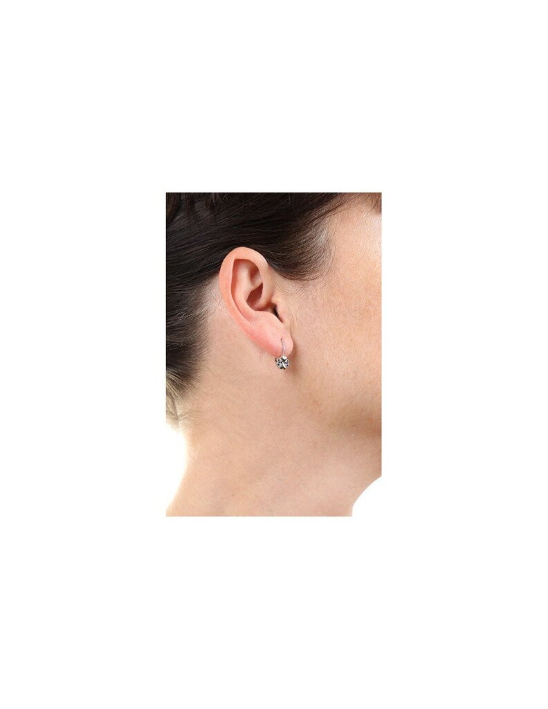 Hõbedased kõrvarõngad naistele tsirkooniumiga Brandberry E0000570 sMM0070 hind ja info | Kõrvarõngad | kaup24.ee