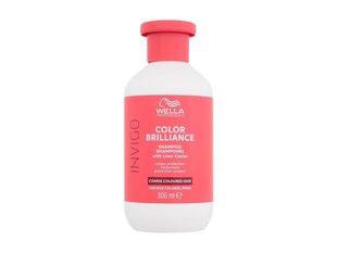 Šampoon Wella Professionals Invigo Color Brilliance, 300 ml цена и информация | Шампуни | kaup24.ee