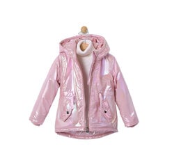 Jope tüdrukutele цена и информация | Куртки, пальто для девочек | kaup24.ee