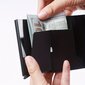 Alukaartkott RFID-kaitsega varguste vastu hind ja info | Naiste rahakotid | kaup24.ee