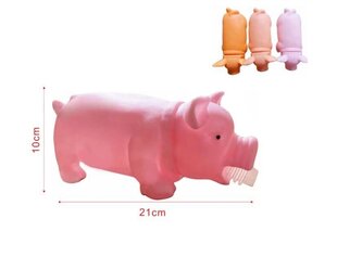 Koera mänguasi Piggy, 21 cm цена и информация | Игрушки для собак | kaup24.ee