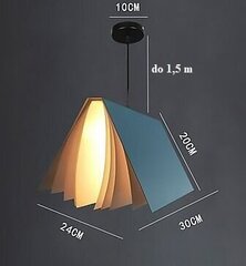 Потолочный светильник цена и информация | Потолочный светильник, 38 x 38 x 24 см | kaup24.ee