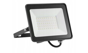 Галогенная лампа/прожектор. LED 4500 лм 50 Вт цена и информация | Фонарики, прожекторы | kaup24.ee