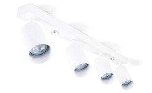 Светодиодный накладной галогенный настенно-потолочный светильник Viki L x4 - Белый цена и информация | Потолочные светильники | kaup24.ee