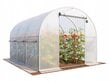 Kilekasvuhoone Garden Rosa, 3x2m цена и информация | Kasvuhooned | kaup24.ee