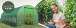 Kasvuhoone, 18m² 600 x 300 cm, roheline цена и информация | Kasvuhooned | kaup24.ee