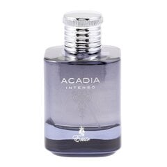 Lõhnavesi Emir Acadia Intenso EDP meestele, 100 ml hind ja info | Meeste parfüümid | kaup24.ee