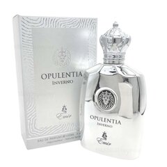 Lõhnavesi Emir Opulentia Inverno EDP meestele, 100 ml цена и информация | Мужские духи | kaup24.ee