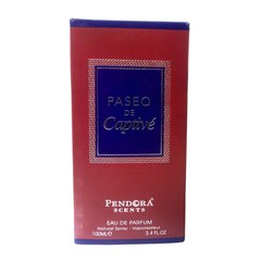 Lõhnavesi Pendora Scents Paseo De Captive EDP meestele, 100 ml hind ja info | Meeste parfüümid | kaup24.ee