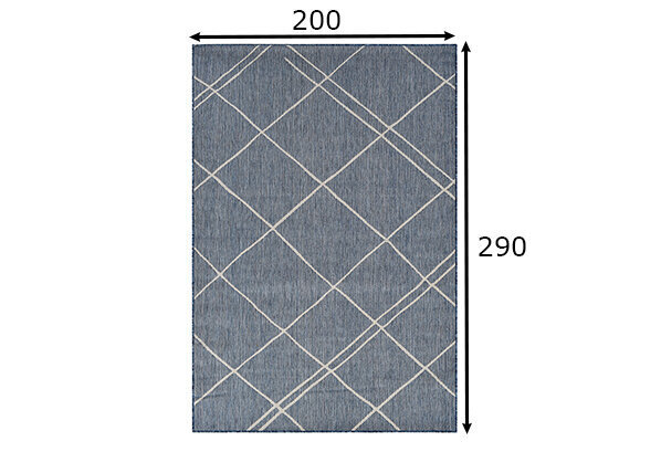 Vercai Rugs vaip Terrace 200x290 cm hind ja info | Vaibad | kaup24.ee